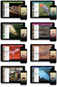 Screenshots from eight apps